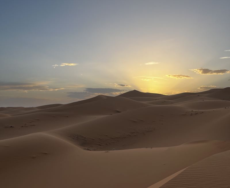 0745F546 076C 4EC0 965B 13DCAC23049C